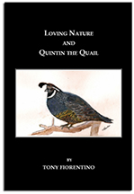 Loving Nature and Quintin the Quail
